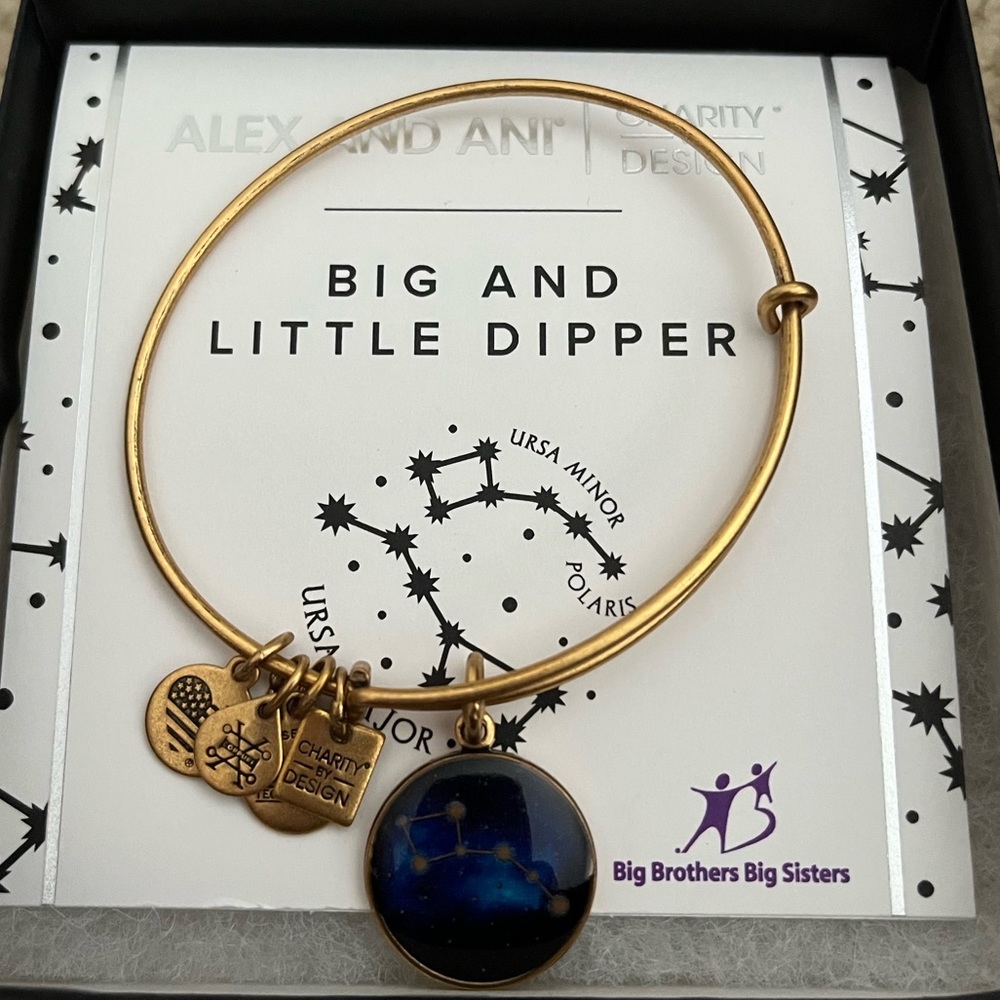 Alex and Ani Little Dipper Bangle Bracelet